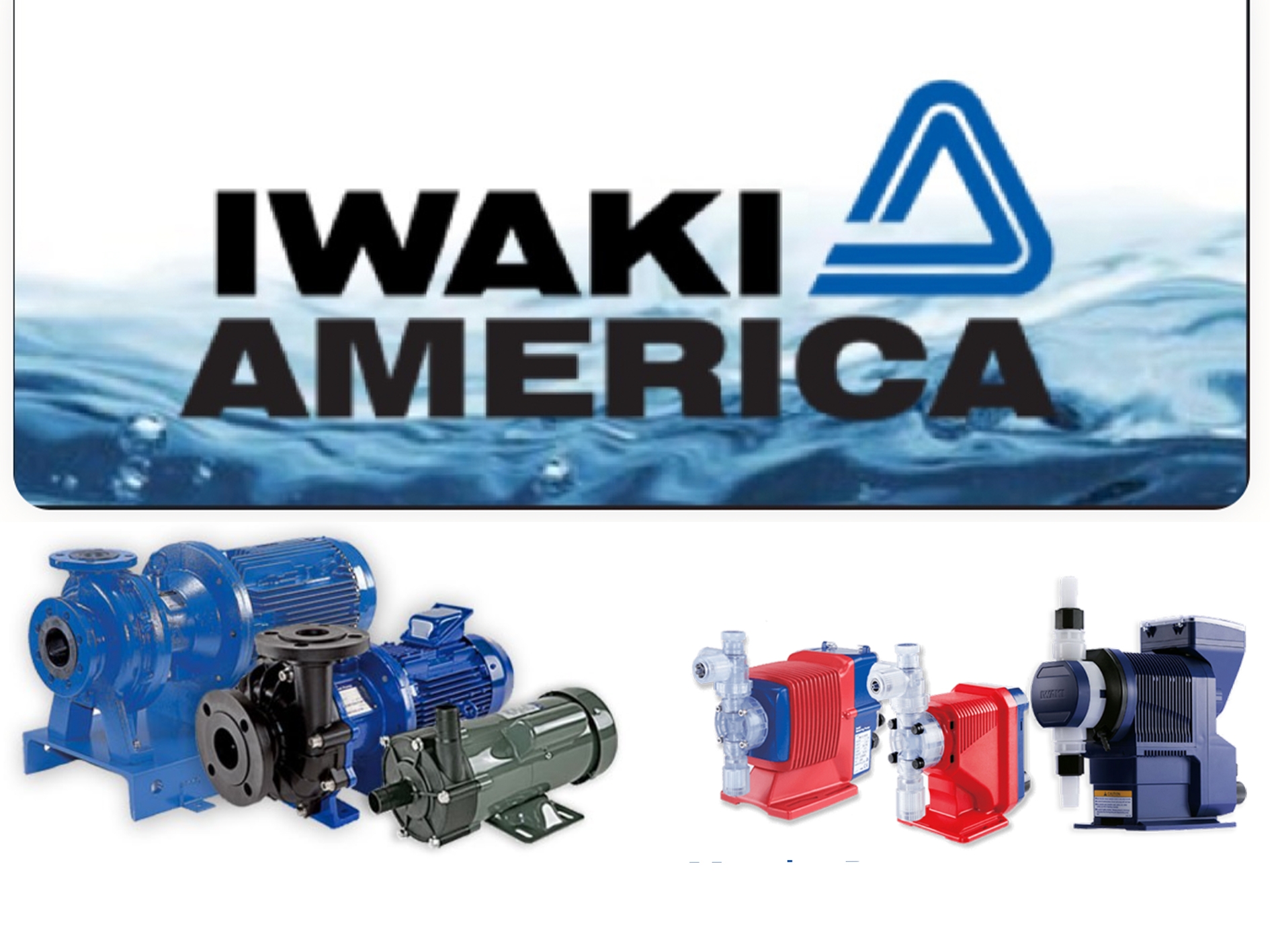 Iwaki America